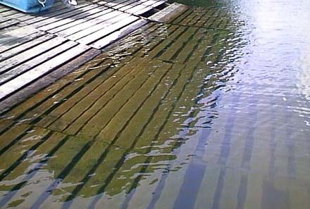 00.08.17.Water Pollution-01.jpg (31292 �o�C�g)