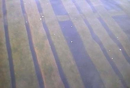 00.08.17.Water Pollution-02.jpg (12334 �o�C�g)