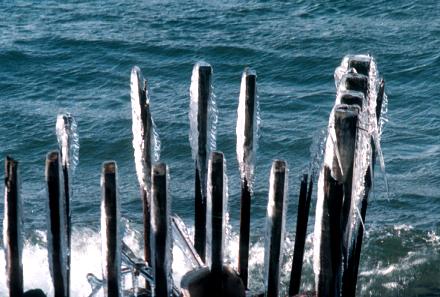 2000.01.04.Icicle-02.jpg (33480 �o�C�g)
