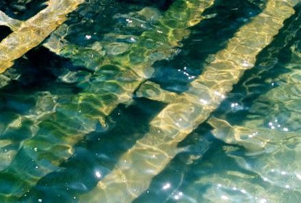 2000.04.24.Water pollution.jpg (28593 バイト)