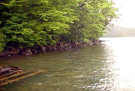2000.06.09.France-01.jpg (31879 �o�C�g)