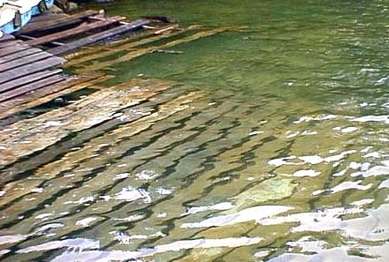 2000.06.09.Water pollution.jpg (37929 �o�C�g)