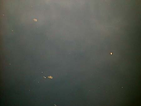 2000.06.21.Water pollution.jpg (42957 �o�C�g)