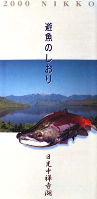 2000.guide.jpg (34371 バイト)