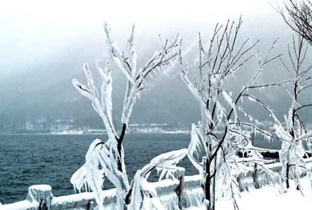 2001.01.04.Tachiki-02.jpg (28159 �o�C�g)