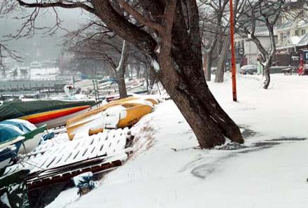 2001.01.04.Utagahama-03.jpg (29679 �o�C�g)