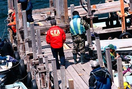 2001.04.22.Okajin.jpg (43791 バイト)