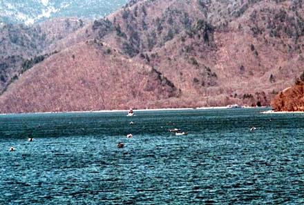 2001.04.22.Wind-001.jpg (37720 バイト)