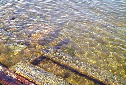 2001.04.23.Water Pollution-01.jpg (38159 バイト)