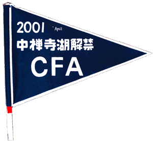 2001.Flug.gif (18842 バイト)