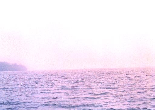 98.6.16.Mist-02.jpg (20509 バイト)