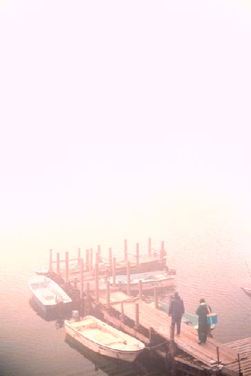 98.6.16.Mist Okazin-06.jpg (12518 バイト)