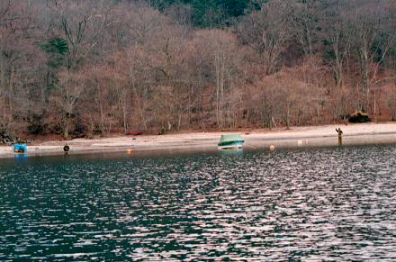 99.04.21.Mujina-04.jpg (37331 �o�C�g)