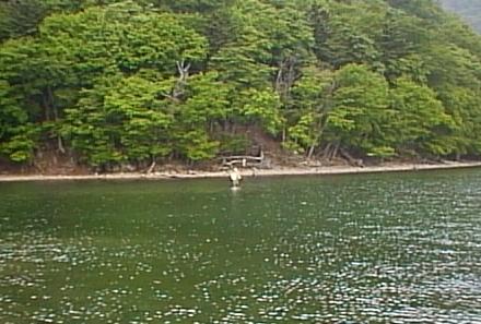 99.06.15.Kouzuke-01.jpg (32607 バイト)