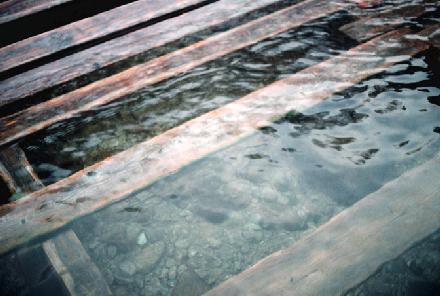 99.4.20.water pollution.jpg (26675 �o�C�g)