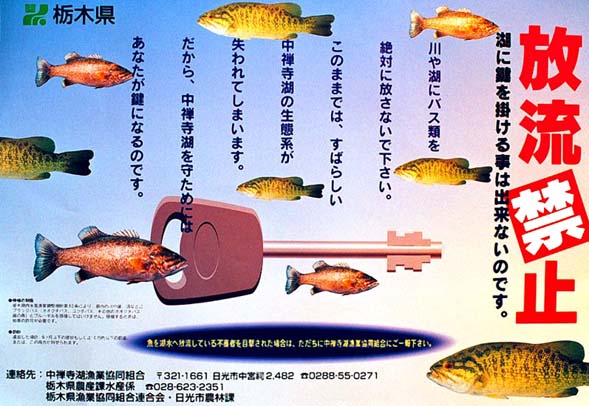 Kinshi-02.jpg (93760 �o�C�g)