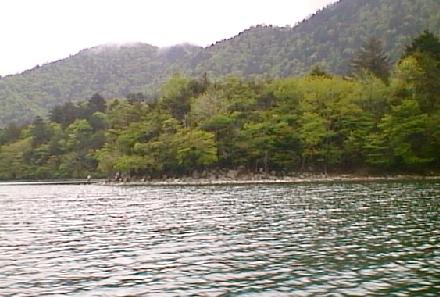 Koderagasaki-01.jpg (29655 バイト)