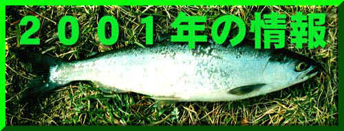 info 2001.jpg (54350 �o�C�g)