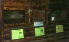 �l�Y�~�ނ̓W���ꏊ