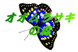 �I�I�����T�L �̐X