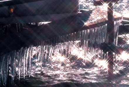 2000.01.04.Icicle-05.jpg (32101 oCg)