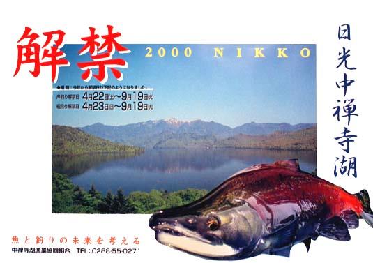 2000 poster.jpg (32458 oCg)