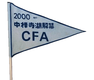 2000openingflag.gif (23773 oCg)