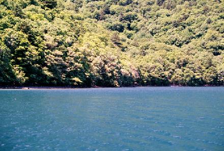 99.08.03.Yusukewada-07.jpg (41327 oCg)
