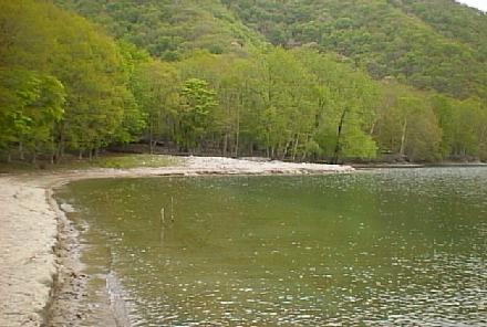 Asegata-08.jpg (27705 oCg)