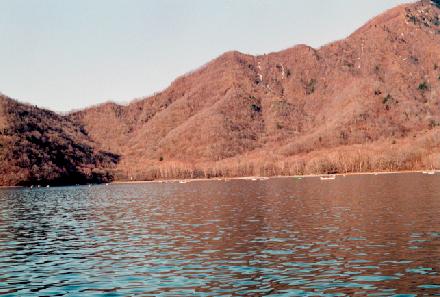 Asegata-12.jpg (27798 oCg)