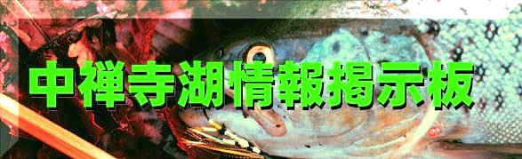 中禅寺湖情報掲示板